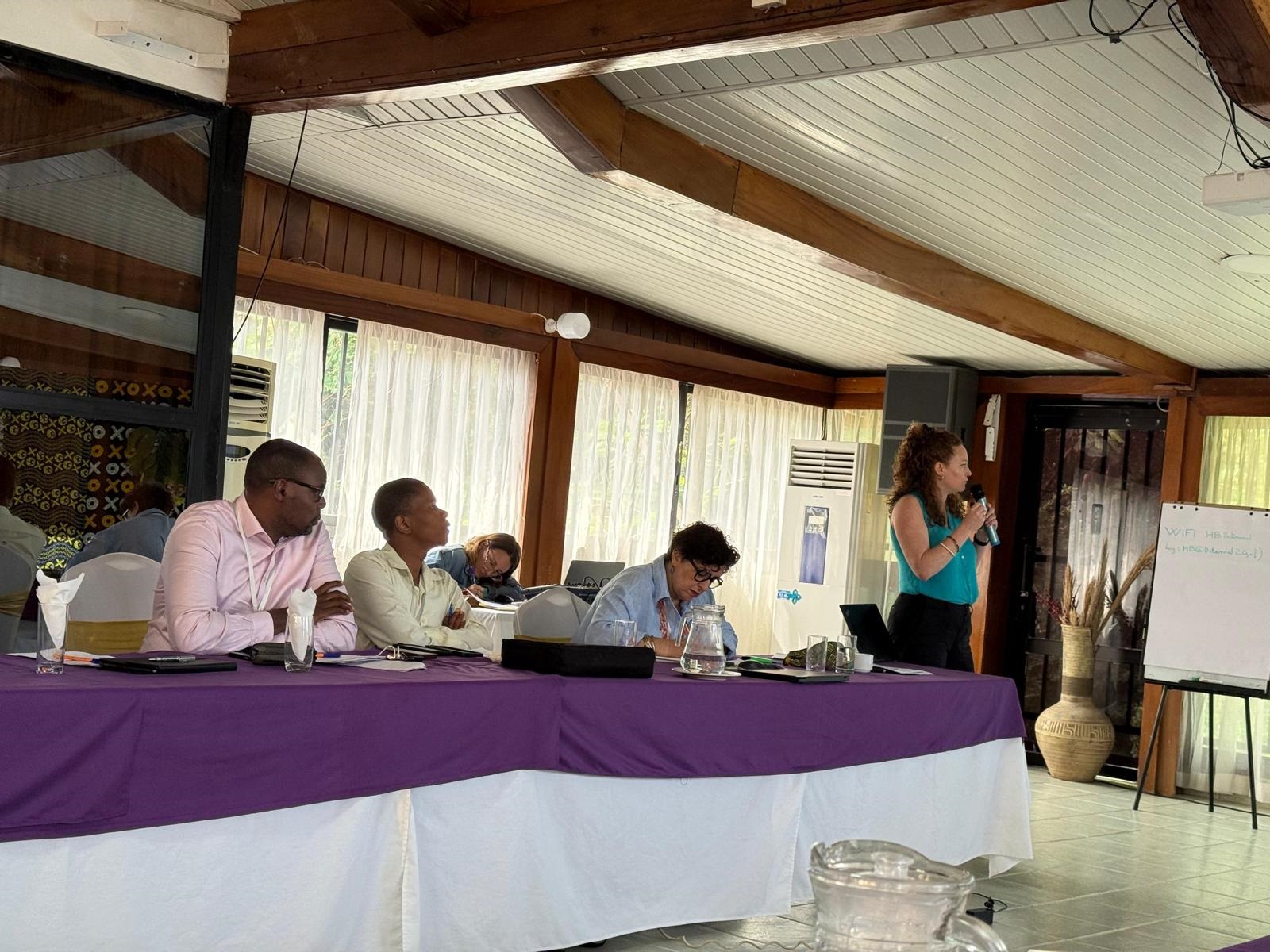 A working session during EBOPEP outbreak-preparedness training.