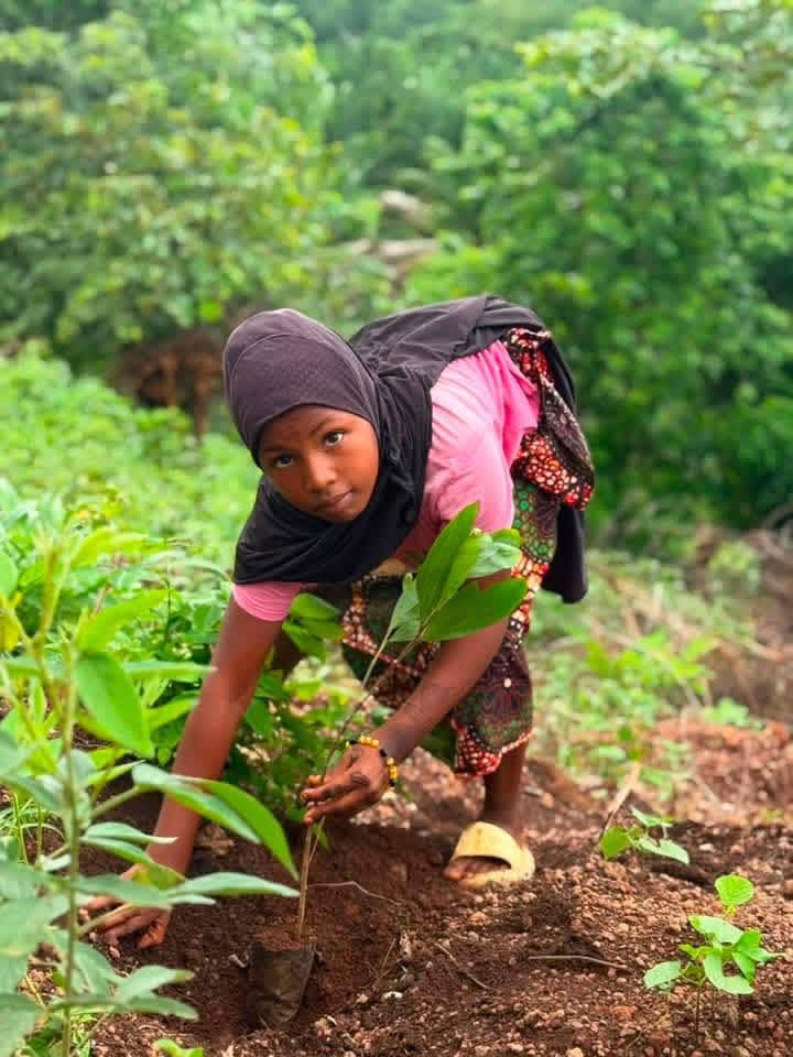 Tree planting reflecting the One Health mission.